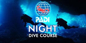 night diving phuket