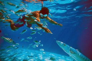 scuba diving in Phuket
