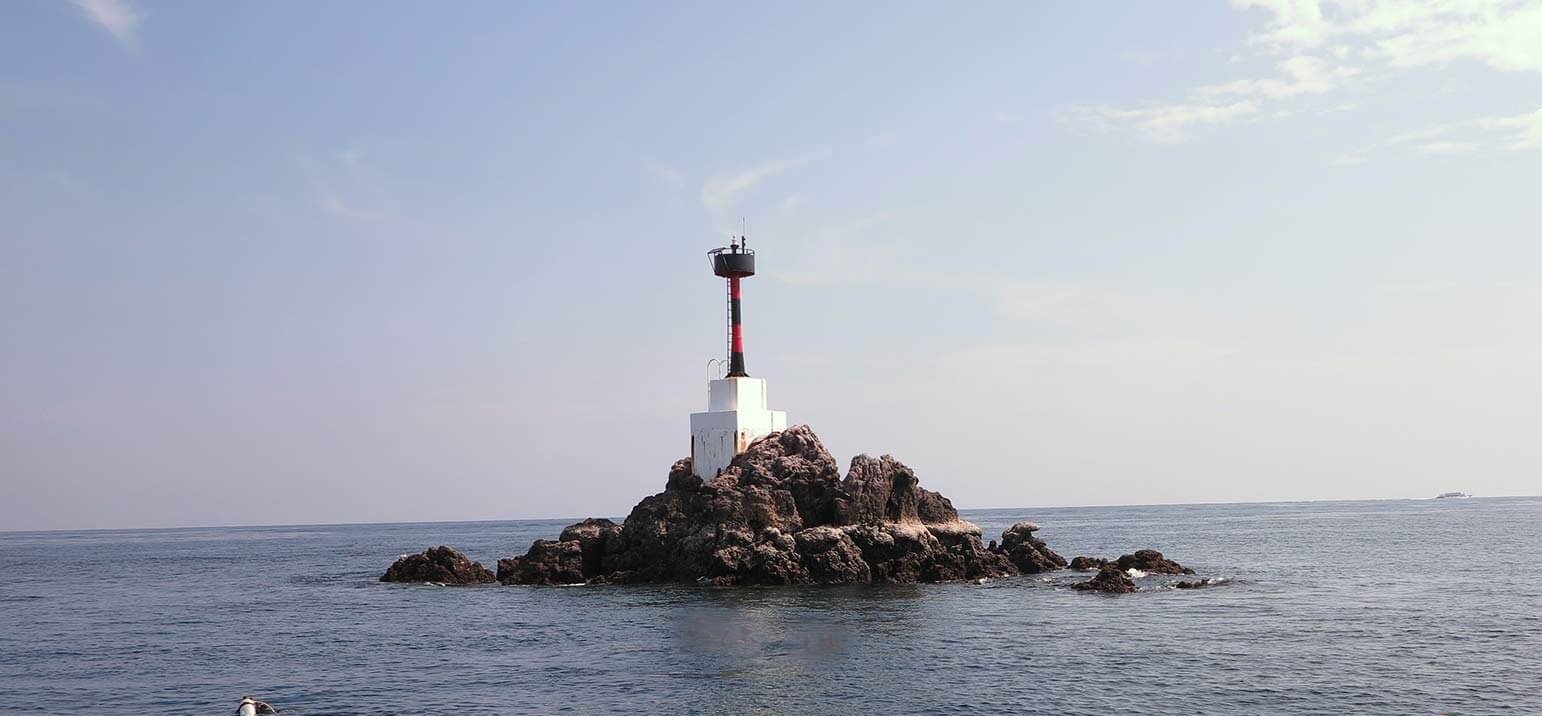 Shark Point