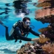 Best Dive Sites Phuket